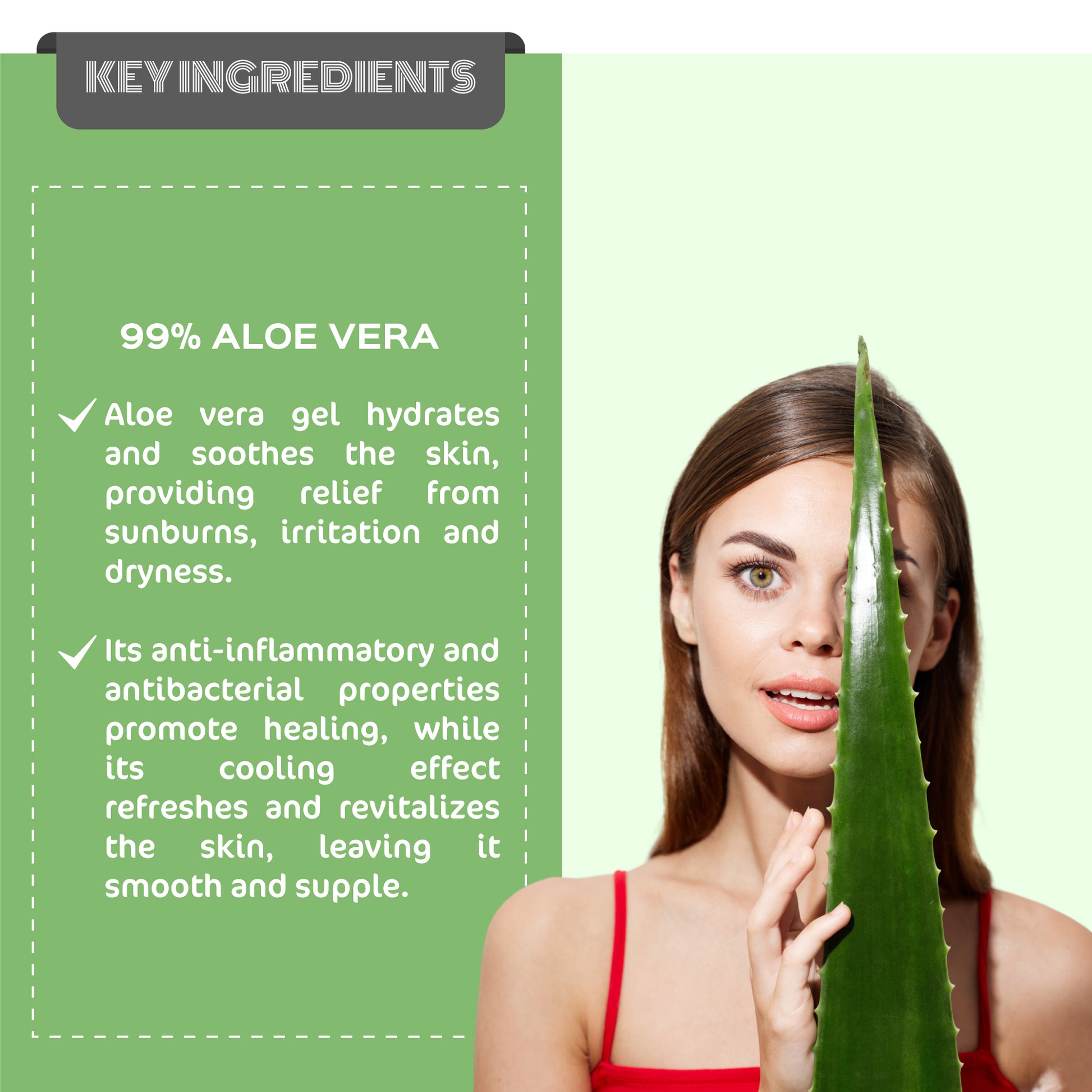 Key Ingredients - Aloe Propolis Hydrating Gel