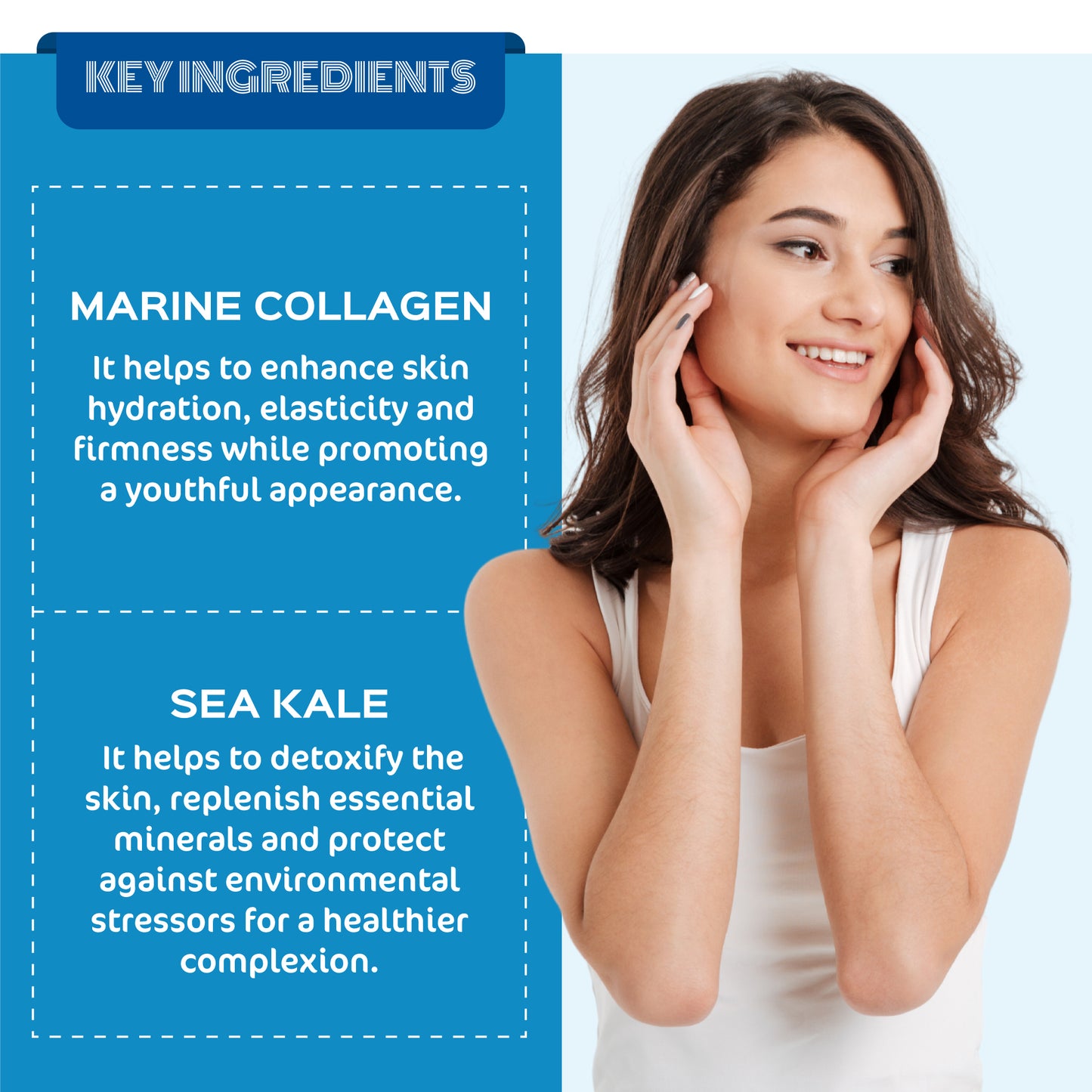 Key Ingredients - Marine Expedition Serum