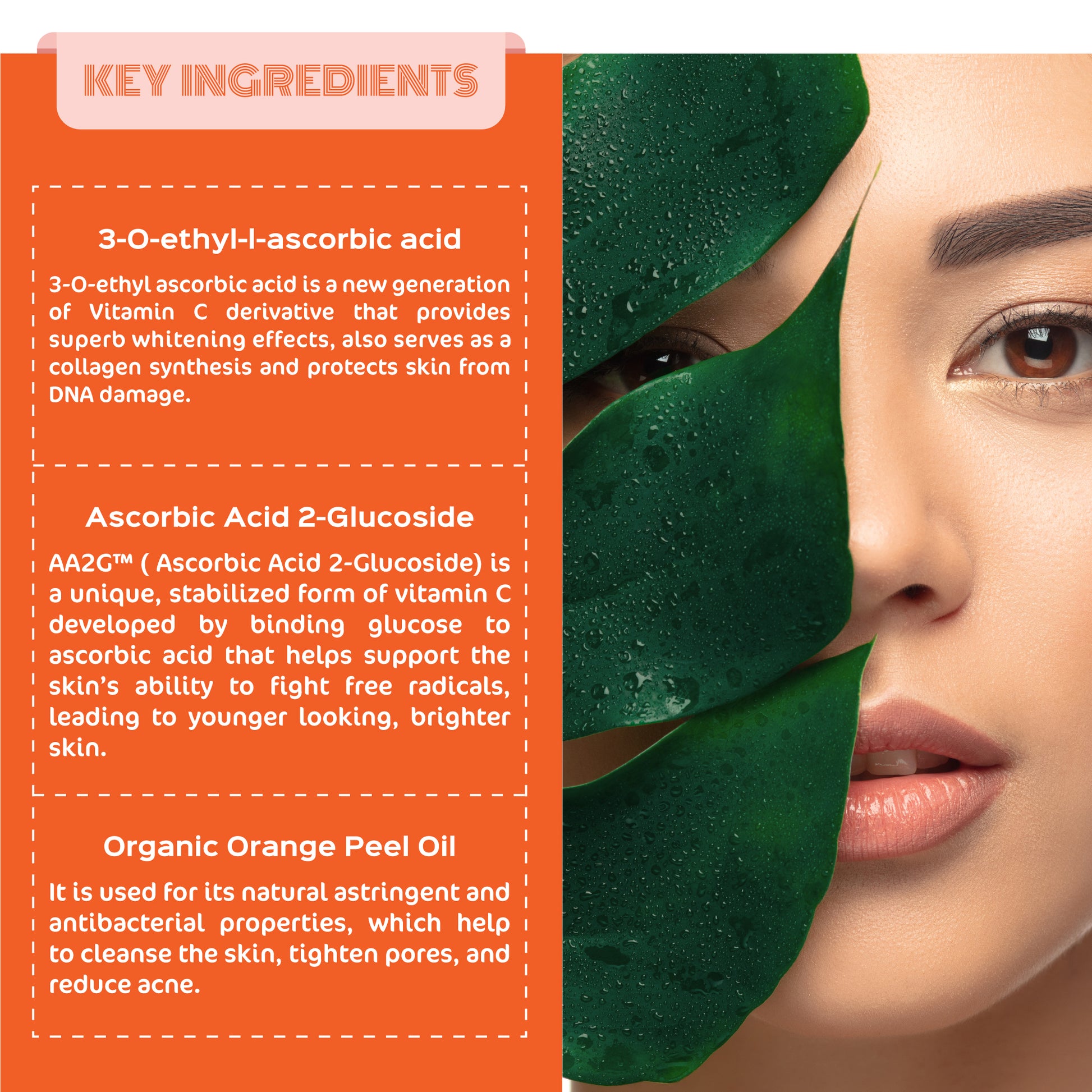 Key Ingredients - Trio C+ Complex